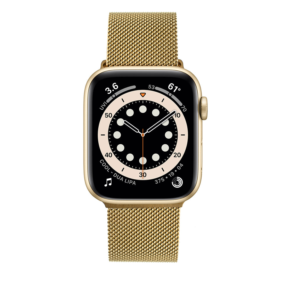 Bracelet Fixed Mesh pour Apple Watch 42mm / 41mm / 40mm / 38mm Series, Doré