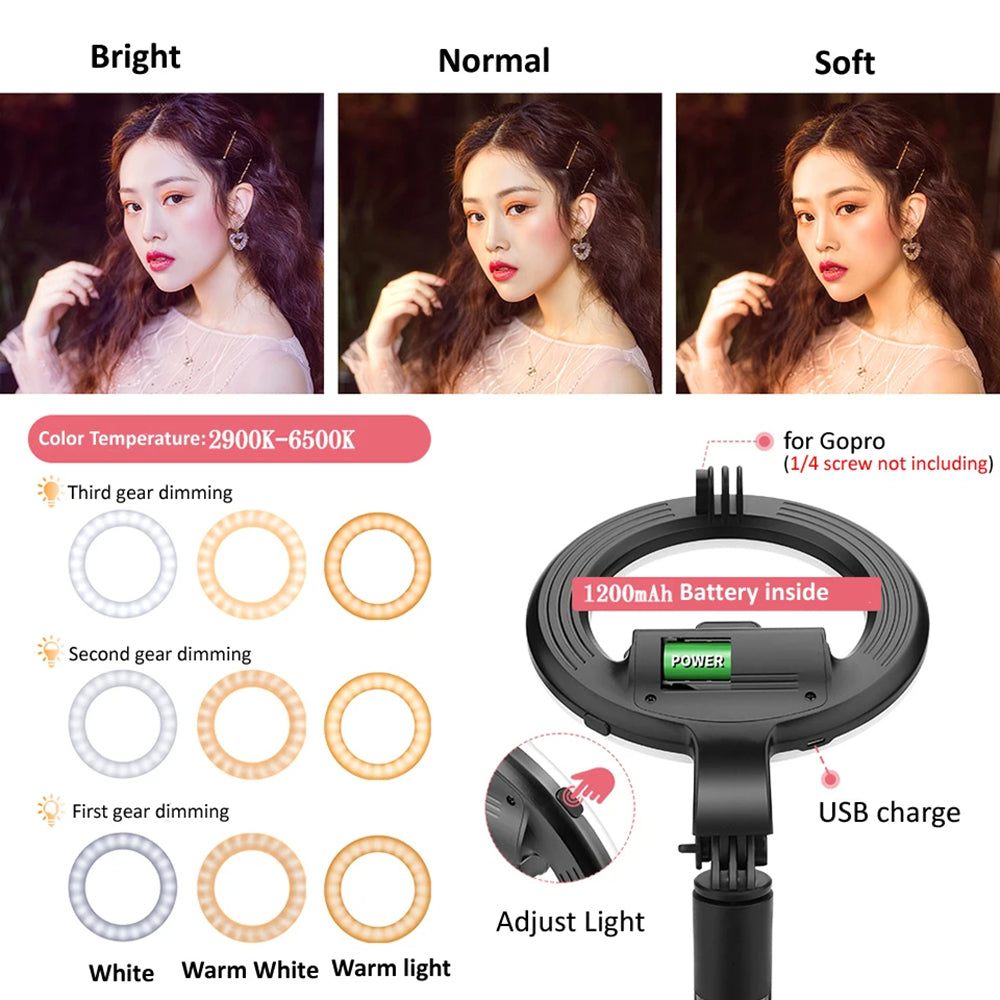 Perche à selfie Bluetooth Techsuit L07, Universelle, Noire