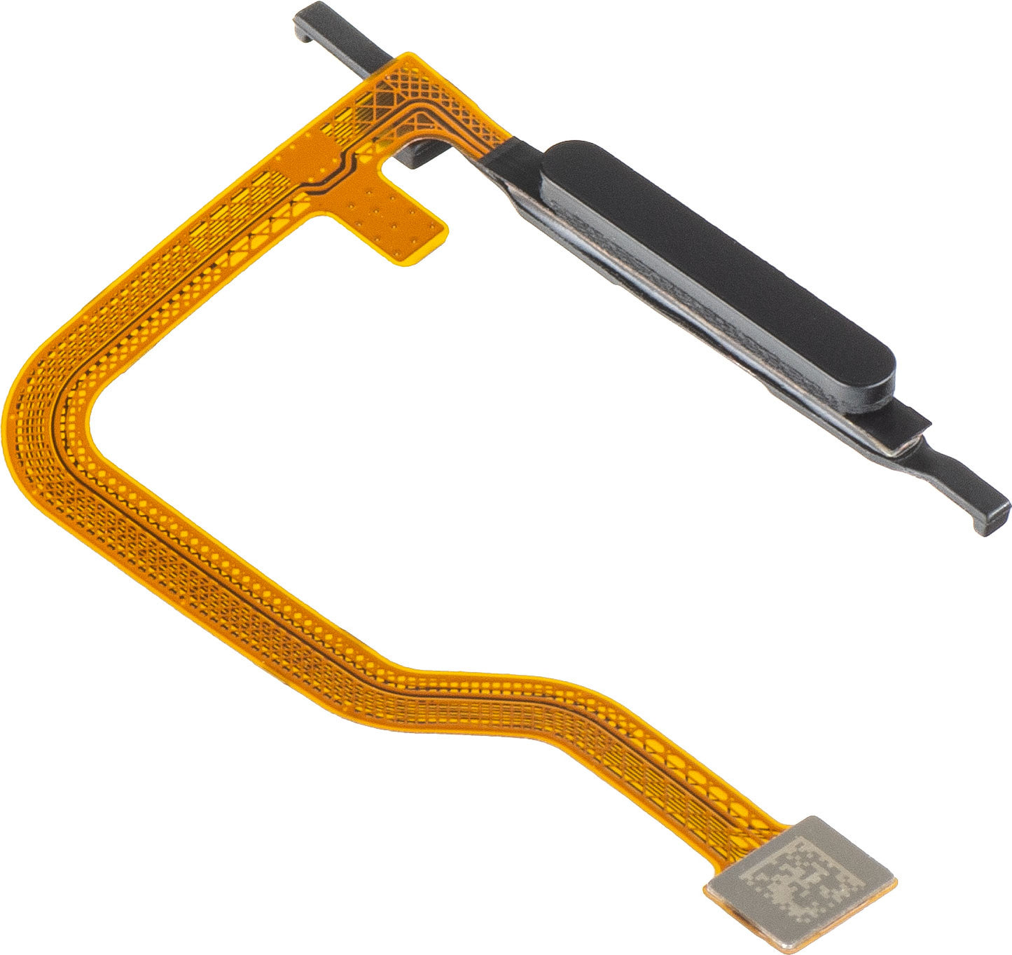 Capteur d'empreinte HMD Fusion, avec bande, Noir, Service Pack 60400532H001