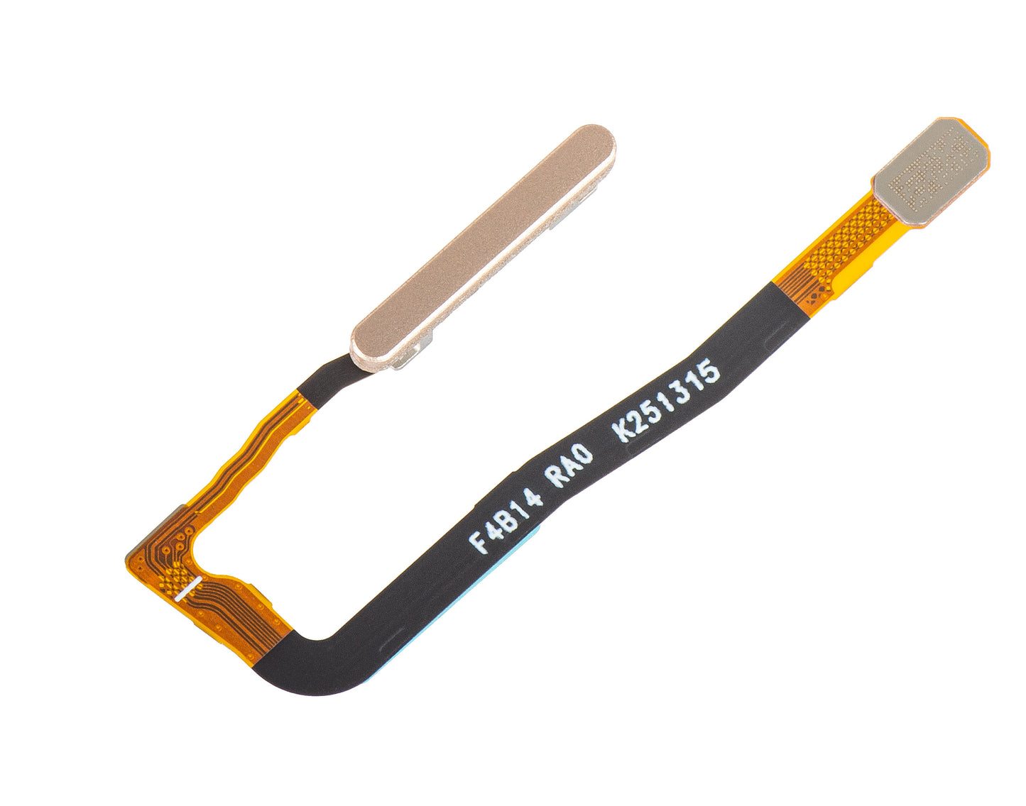 Capteur d'empreinte Honor Magic V5, avec bande, Doré (Dawn Gold), Service Pack 2310AAGX