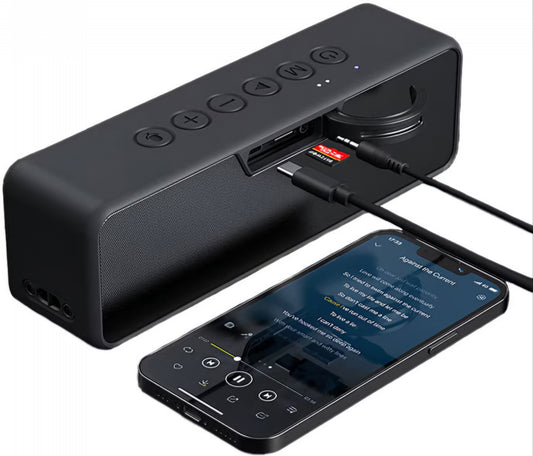 Enceinte Bluetooth BlitzWolf BW-WA4, 30W, TWS, Étanche, Noire