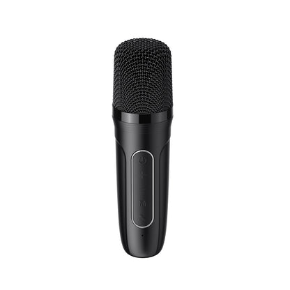 Enceinte Portable Bluetooth HAVIT SK819BT Karaoke, 5W, Noire