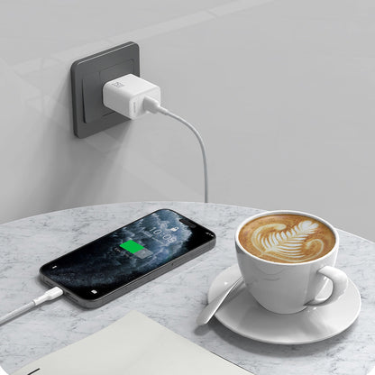 Câble de Données et de Charge USB-A - USB-C Dudao L9T, 100W, 1m, Blanc