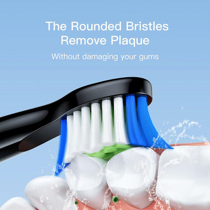Tête de rechange SDD2 pour brosse à dents électrique Bitvae D2, lot de 4 pièces, noir