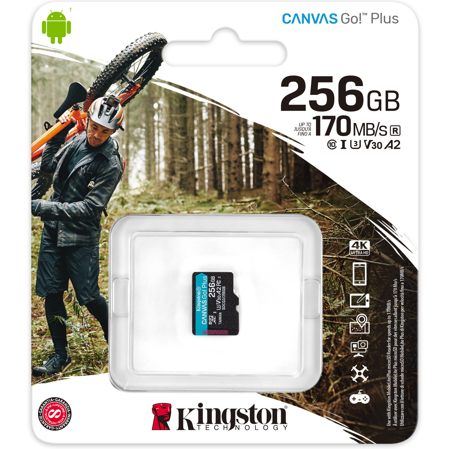 Carte mémoire microSDXC Kingston Canvas Go Plus, 256 Go, Classe 10 / UHS-1 U3 SDCG3/256GBSP 