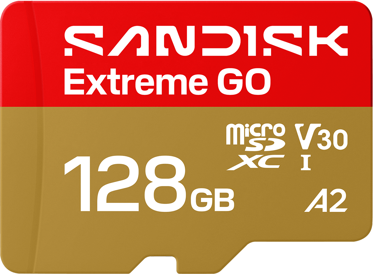 Carte Mémoire microSDXC SanDisk Extreme GO Android A2, 128Go, Classe 10 / UHS-1 U1 SDSQXGN-128G-GN6MN