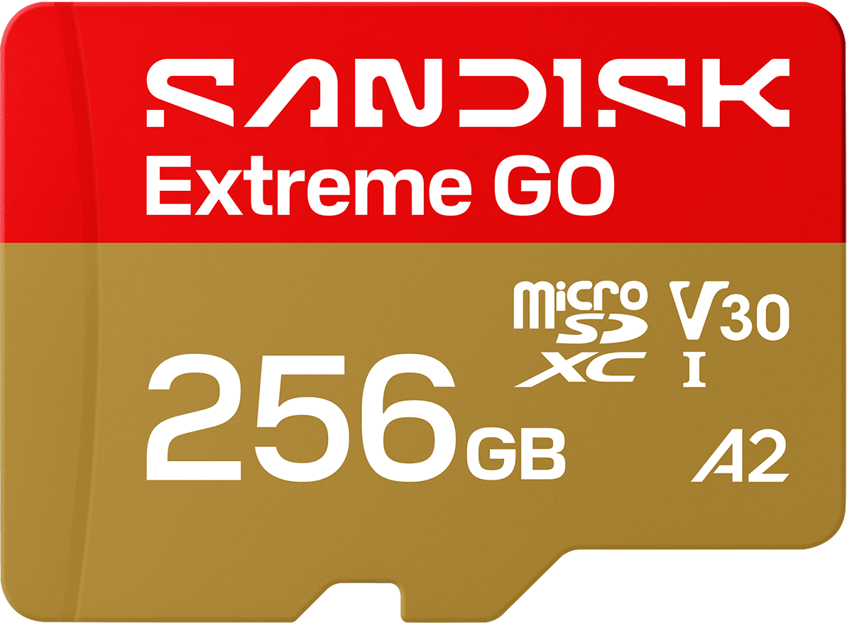 Carte Mémoire microSDXC SanDisk Extreme GO Android A2, 256Go, Classe 10 / UHS-1 U1 SDSQXGN-256G-GN6MN