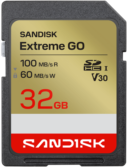 Carte Mémoire SDHC SanDisk Extreme Go, 32Gb, Classe 10 / UHS-1 U1 SDSDXGN-032G-GNCIN