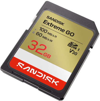 Carte Mémoire SDHC SanDisk Extreme Go, 32Gb, Classe 10 / UHS-1 U1 SDSDXGN-032G-GNCIN