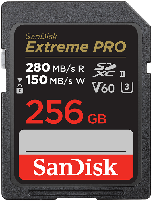Carte Mémoire SDXC SanDisk Extreme Pro, 256Go, Classe 10 / UHS-2 U3 SDSDXEP-256G-GN4IN