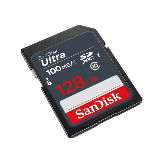 Carte mémoire SDXC SanDisk Ultra, 128Go, Classe 10 SDSDUNR-128G-GN3IN