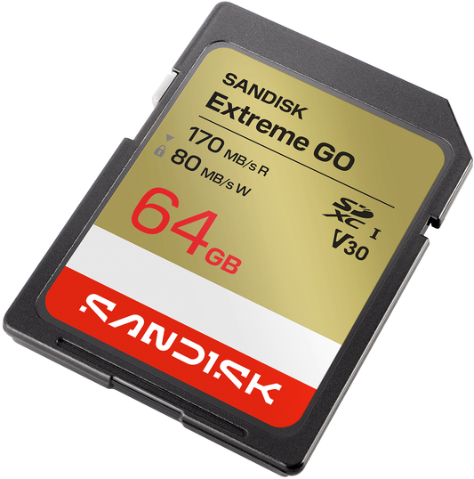 Carte Mémoire SDXC SanDisk Extreme Go, 64Gb, Classe 10 / UHS-1 U1 SDSDXGN-064G-GNCIN