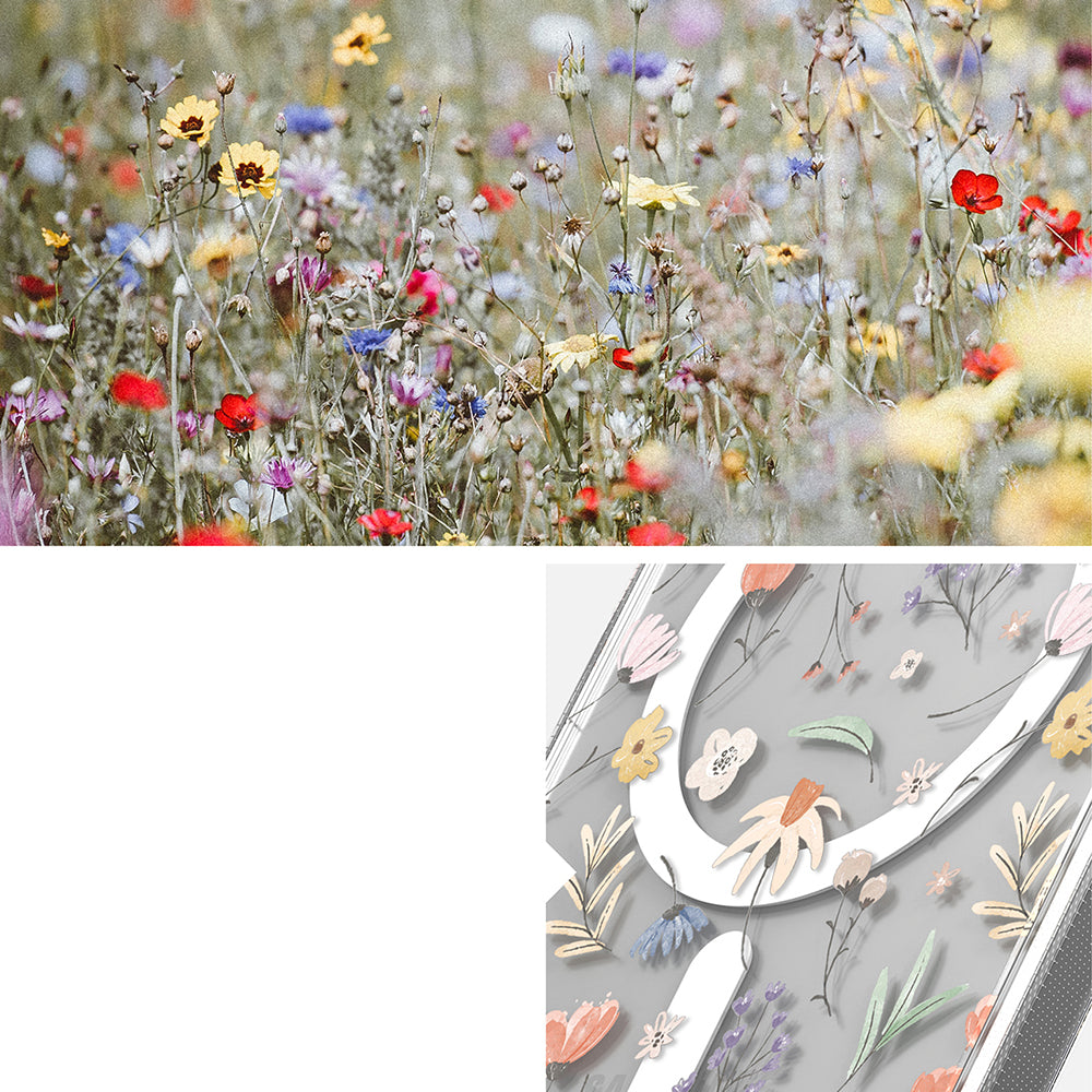 Coque MagSafe pour Samsung Galaxy S26 Ultra S948, Ringke, Fusion, Multicolore