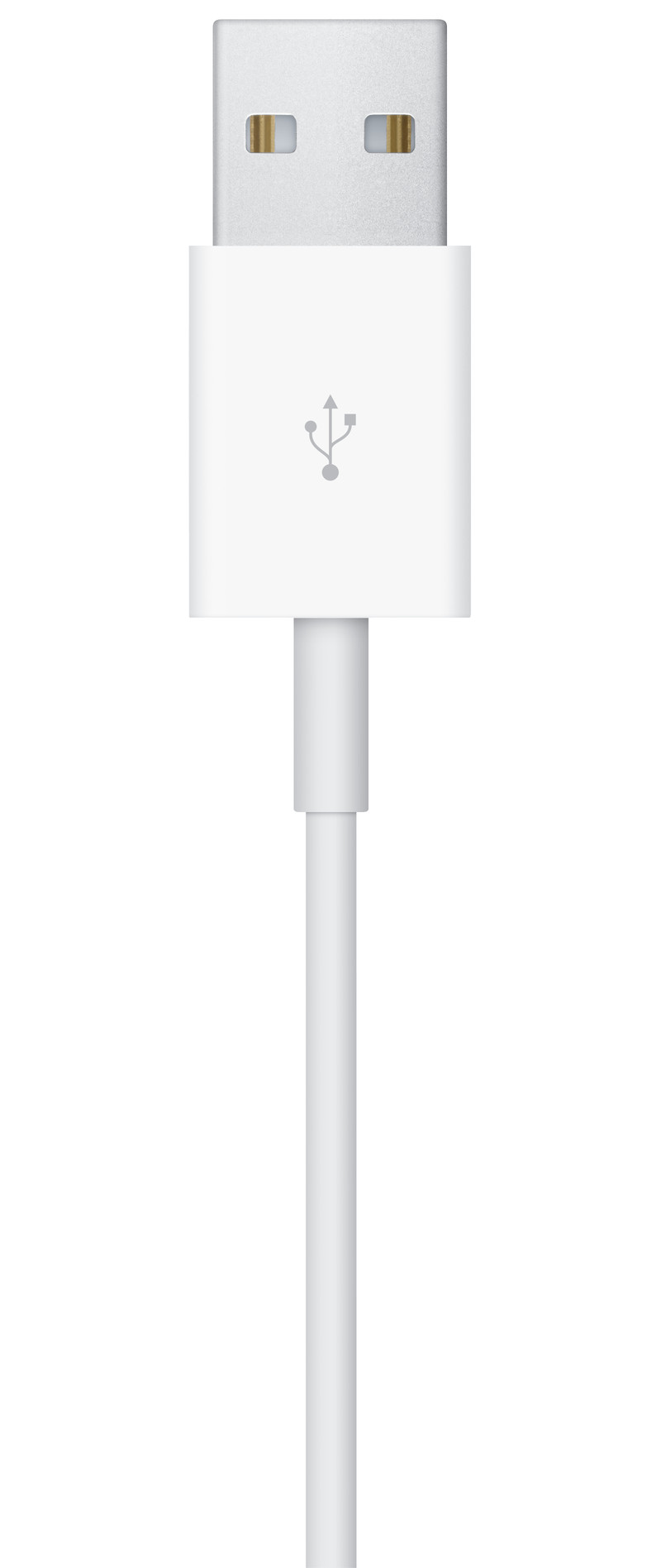 Chargeur sans fil pour Apple Watch Series, 1m MW6A3ZM/A