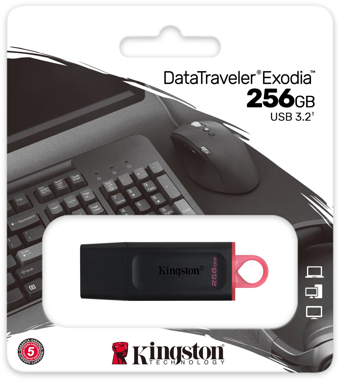 Mémoire Externe USB-A 3.2 Kingston DT Exodia, 256Gb DTX/256GB