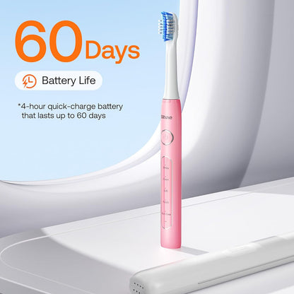 Brosse à dents électrique Bitvae D2, rose