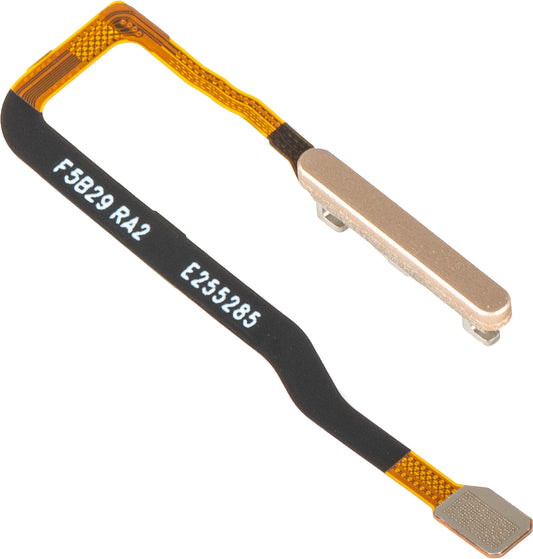 Capteur d'empreintes Honor Magic V6, avec bande, Or, Service Pack 2310AAKT